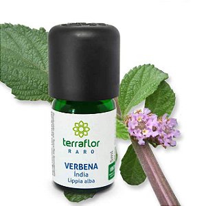 Óleo Essencial Verbena India Terra-Flor  5ml