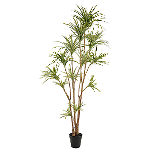 Planta Artificial Dracena Marginata C/Vaso Pu X559 (Verde Amarelo) 2,52mt