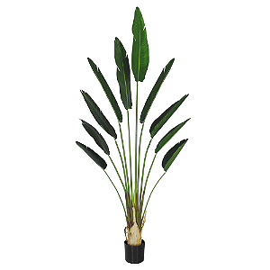 Planta Artificial Palmeira Viajante com Pote x10 (VERDE) 2,1MT