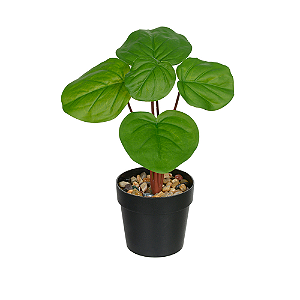 Planta Artificial Pilea Real Toque C/Pote x5 (VERDE) 24cm