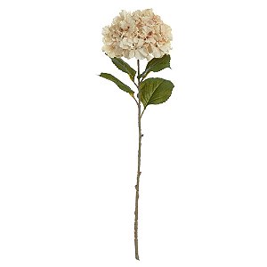 H.HORTENSIA X77 (CREME OUTONO) 84cm