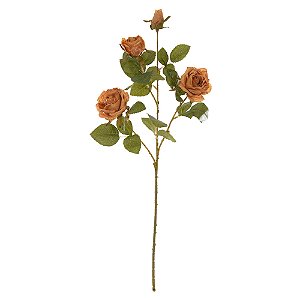 H.ROSA X4 (CHA OUTONO) 70cm