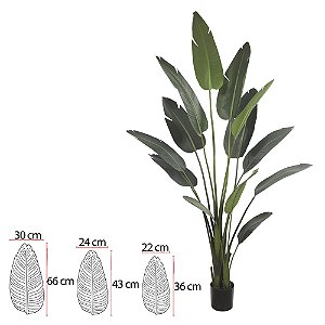 A.BANANEIRA DE JARDIM PU C/POTE X13 (VERDE) 2,2m
