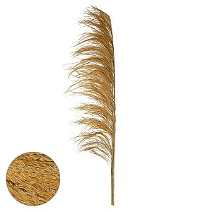 PLUMA PENDAO CANABRAVA C/3 HASTES DESIDRATADO (OCRE) 150CM