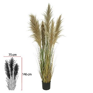 F.GRASS PAMPAS C/POTE X5 (VERDE OUTONO) 1,5m