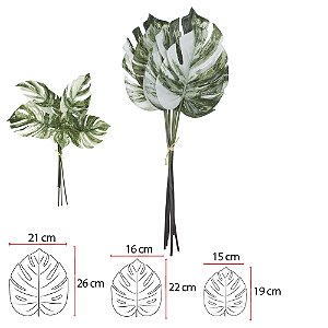 C.FOLHA COSTELA DE ADAO C/FITA REAL TOQUE X6 (VERDE BRANCO) 50cm