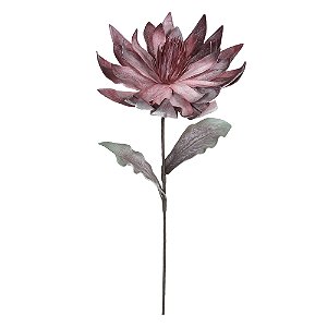 H.MAGNOLIA EVA (BEAUTY OUTONO) 92cm