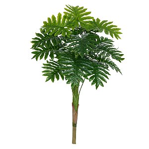 A. Philo Real Toque X15 (Verde) – 90cm