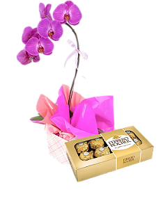 310 - Orquídea com Ferrero rocher
