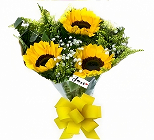 187 - Buquê com 3 Girassóis