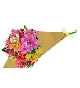 153 - Mini buquê de astromélias