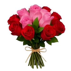 108 - Buquê com 12 rosas