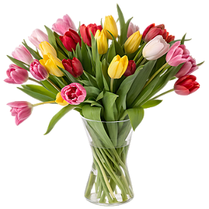 099 - 24 Tulipas no jarro