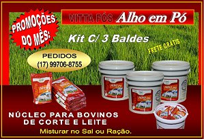 ALHO EM PÓ, VITTA FOS ALHO, KIT COM 3 BALDES DE 10KG.-