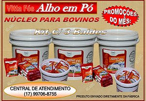 ALHO EM PÓ, VITTA FOS ALHO, KIT COM 3 BALDES DE 10KG.-
