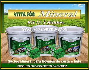 VITTA FÓS MINERAL , NÚCLEO PARA BOVINOS - KIT COM 3 BALDES.