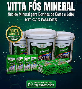 VITTA FÓS MINERAL , NÚCLEO PARA BOVINOS - KIT COM 3 BALDES.