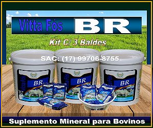 VITTA FÓS BR, NÚCLEO PARA BOVINOS, SEM MANEJO, DIRETO NO COCHO. KIT C/ 3 BALDES.