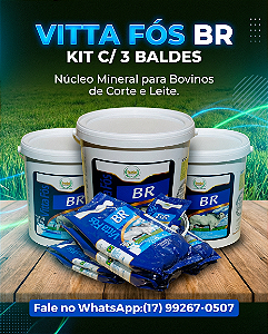 VITTA FÓS BR, NÚCLEO PARA BOVINOS, SEM MANEJO, DIRETO NO COCHO. KIT C/ 3 BALDES.