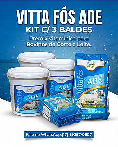 VITTA FÓS ADE VITAMINA- KIT C/ 3 BALDES DE 10KG.
