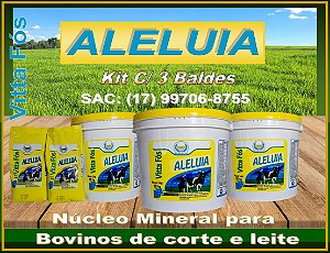 VITTA FÓS ALELUIA NÚCLEO PARA BOVINOS - KIT C/ 3 BALDES DE 10KG.