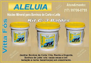 VITTA FÓS ALELUIA NÚCLEO PARA BOVINOS - KIT C/ 3 BALDES DE 10KG.