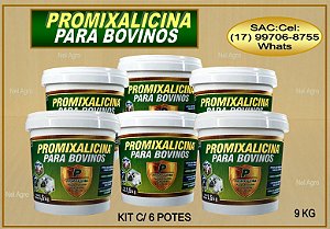 Vitta Fós PROMIXALICINA PARA BOVINOS, CONTROLE DE MOSCAS, CARRAPATOS E VERMINOSE - KIT C/ 6 POTES.