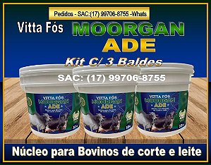 Vitta Fos MOORGAN ADE - MODIFICADOR ORGANICO - KIT C/ 3 BALDES.