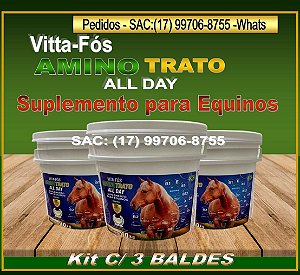VITTA FÓS AMINOTRATO ALL DAY, SUPLEMENTO PARA EQUINOS - KIT C/ 3 BALDES.