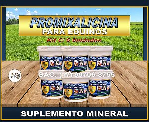 PROMIXALICINA PARA EQUINOS - KIT C/ 6 POTE - 9KG