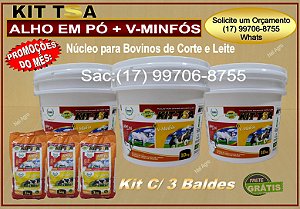 O KIT TSA 2X1 Alho em Pó + V-Minfós - kit c/ 3 Baldes.