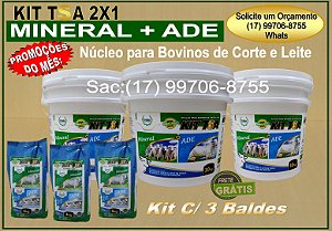 O KIT TSA 2X1 MINERAL + ADE PARA BOVINOS DE CORTE E LEITE. KIT C/ 3 BALDES.