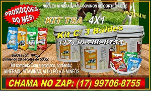 KIT 4X1 NÚCLEO MINERAL - KIT C/ 3 BALDES.