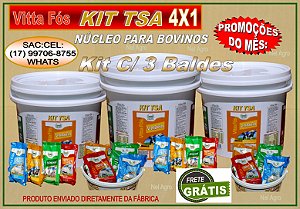 KIT 4X1 NÚCLEO MINERAL - KIT C/ 3 BALDES.