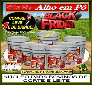 VITTA FÓS ALHO EM PÓ - KIT COM 7 BALDES, 1 É BRÍNDE!