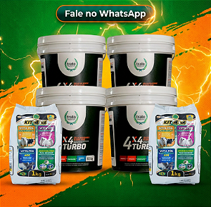 VITA FÓS KIT 4X4 TURBO NÚCLEO PARA BOVINOS - KIT C/ 4 BALDES