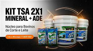 KIT TSA MINERAL + ADE PARA BOVINOS DE CORTE E LEITE - KIT C/ 3 BALDES.