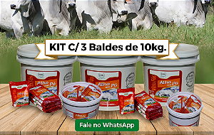 VITTA FÓS ALHO EM PÓ - Kit C/ 3 Baldes