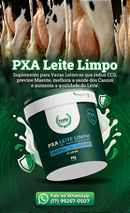 PXA LEITE LIMPO Suplemento para bovinos leiteiros em lactação - KIT C/ 6 POTES.