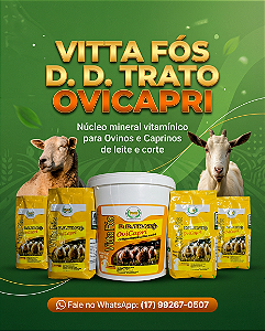 VITTA FÓS OVICAPRI Suplemento Mineral para Ovinos e Caprinos.