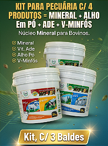 KIT PARA PECUÁRIA C/ 4 PRODUTOS - KIT C/ 3 BALDES.