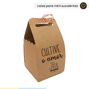 5 Caixas Kraft para mini suculentas - Frases