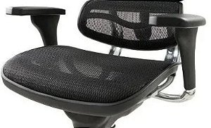 Jodo de Braços Originais Ergochair Raynor Eurotech ELITE