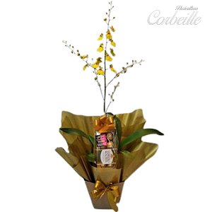 Orquídea Chuva de Ouro com Caixa de Bombons Ferrero Rocher 8 unidades