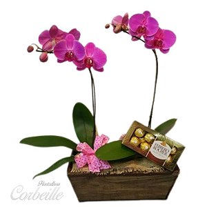 Orquídea Dupla Pink no Cachepot de Madeira com Caixa de Bombom Ferrero Rocher 8 unidades