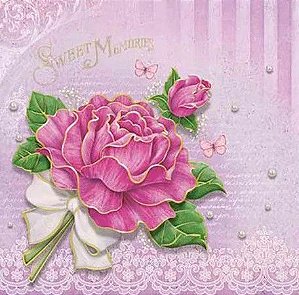 SD-0538 - SCRAP DUPLA FACE - ROSA COM LAÇO