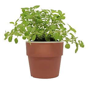 VASO  AUTOIRRIGÁVEL TERRACOTA FECHADO M