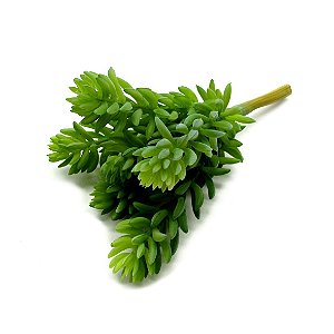 SUCULENTA PERMANENTE DEDINHO DE MOÇA ARAMADO