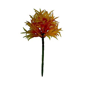 FLOR PERMANENTE SUCULENTA