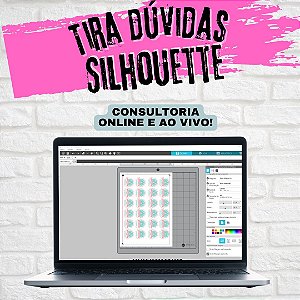 Tira Dúvidas - Consultoria de 1 hora de Studio Silhouette online